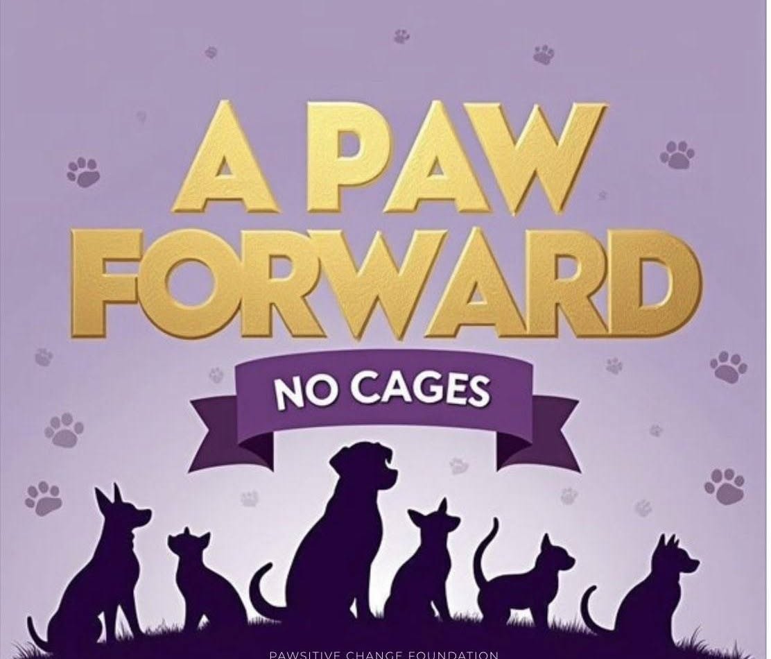 A Paw Forward